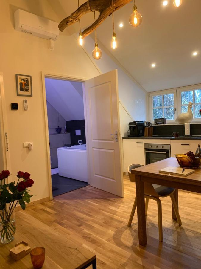 De Haen Luxury Villa: Private With Jacuzzi And Sauna Apartment