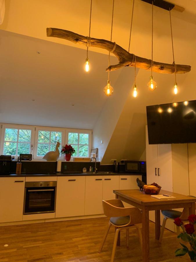 Apartment De Haen Luxury Villa: Private With Jacuzzi And Sauna *