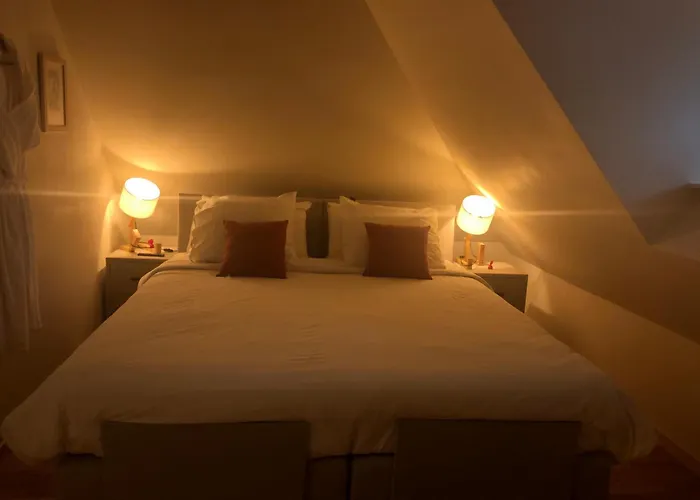 Bed And Breakfast De Haen - Prive-Appartementen Van 43 Of 60 M2 Met Tweepersoons Bubbelbad - Finse Sauna - In Westvleugel Van Luxe Villa
