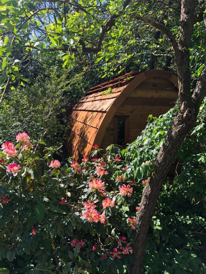 De Haen Luxury Villa: Private With Jacuzzi And Sauna Apartment